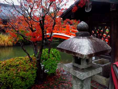 雨と紅葉の法成橋