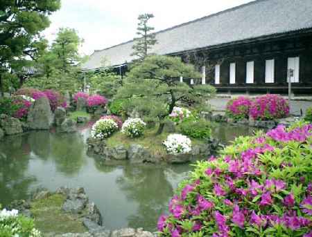 つつじが咲く三十三間堂の庭園