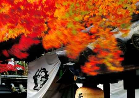 秋を通過するもの