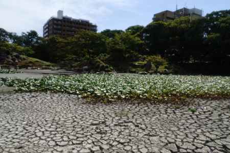 数百年に一度の空池