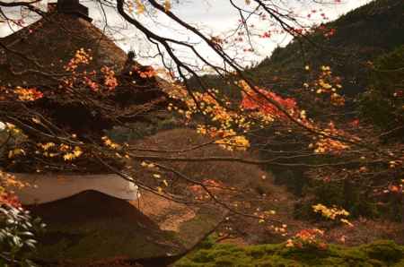 善峯寺の多宝塔