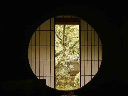 雲龍院　障子からみえたお庭