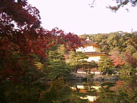 紅葉と金閣