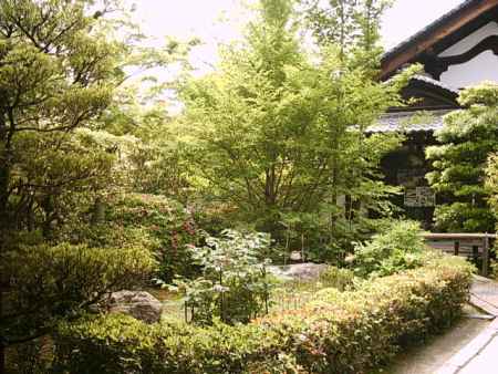 退蔵院　大玄関前の庭園