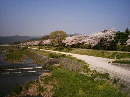 橋の上から見た鴨川