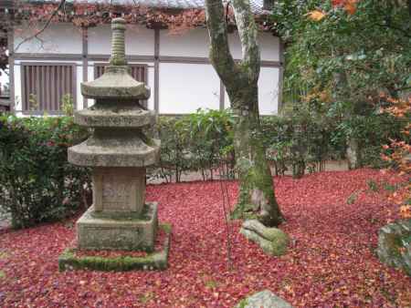 霊雲院の落葉