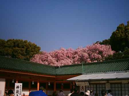 春の平安神宮