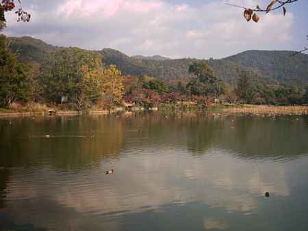 大覚寺　秋の大沢池