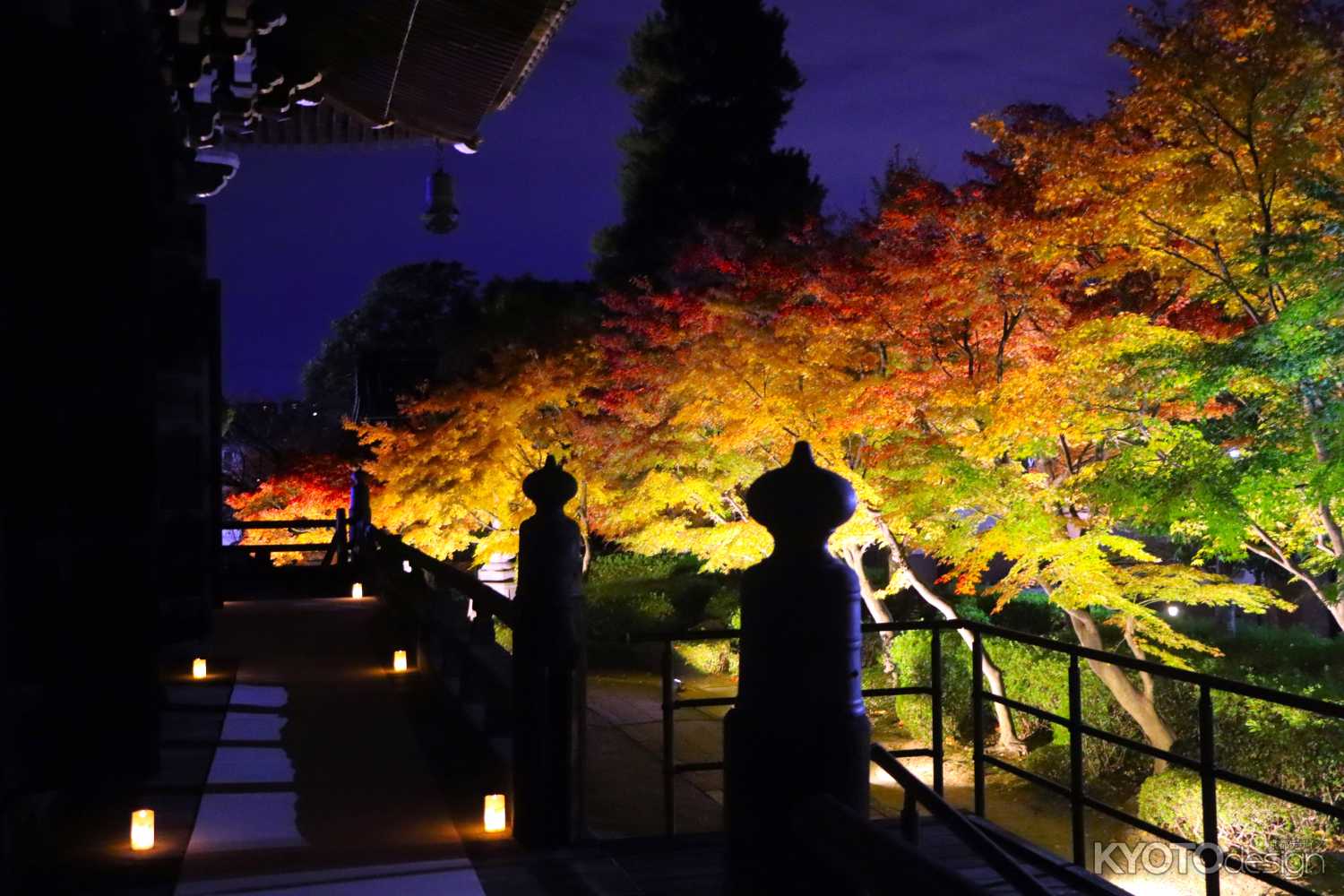 妙顕寺の紅葉ライトアップ2023