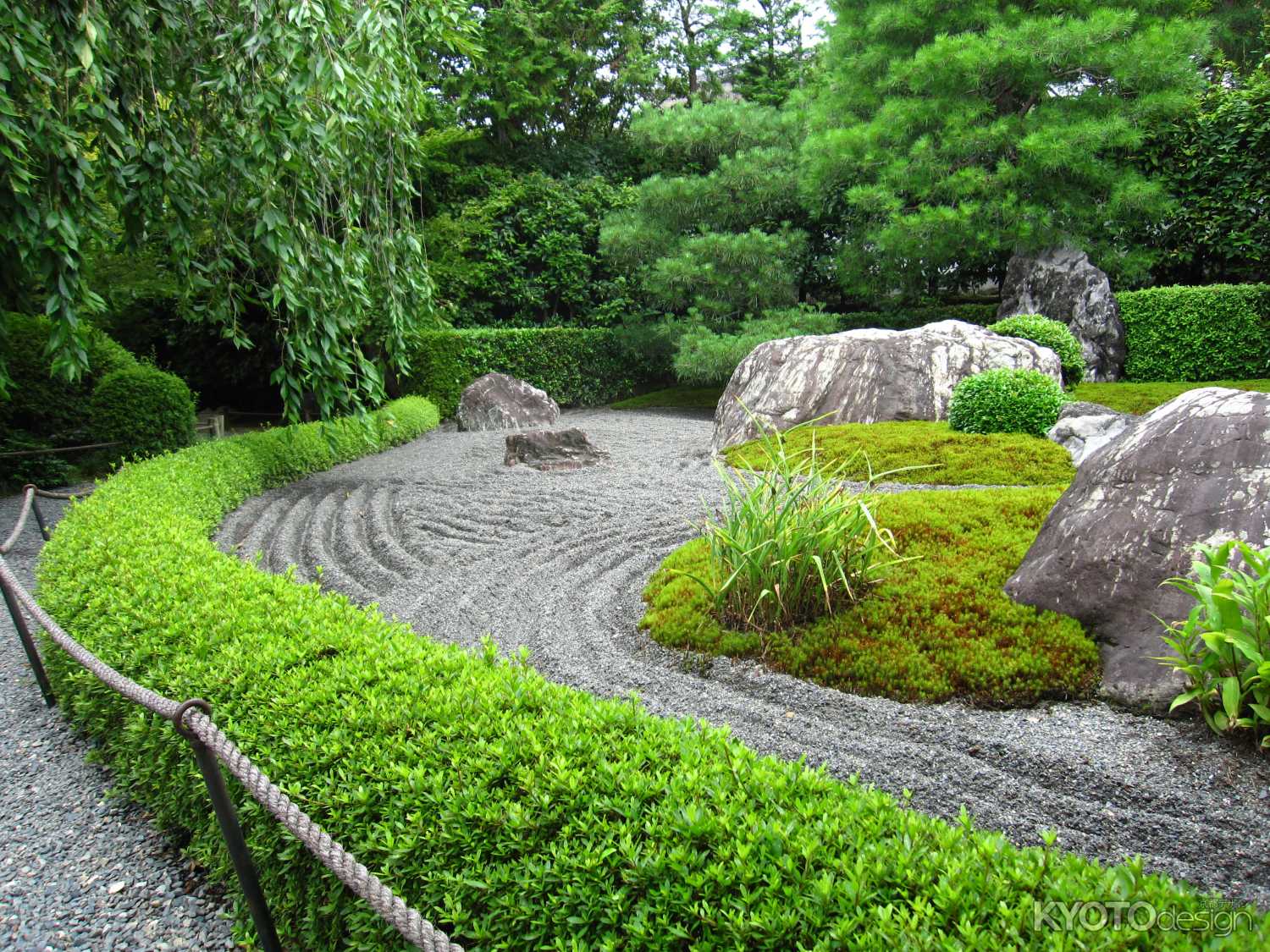 退蔵院　陰の庭