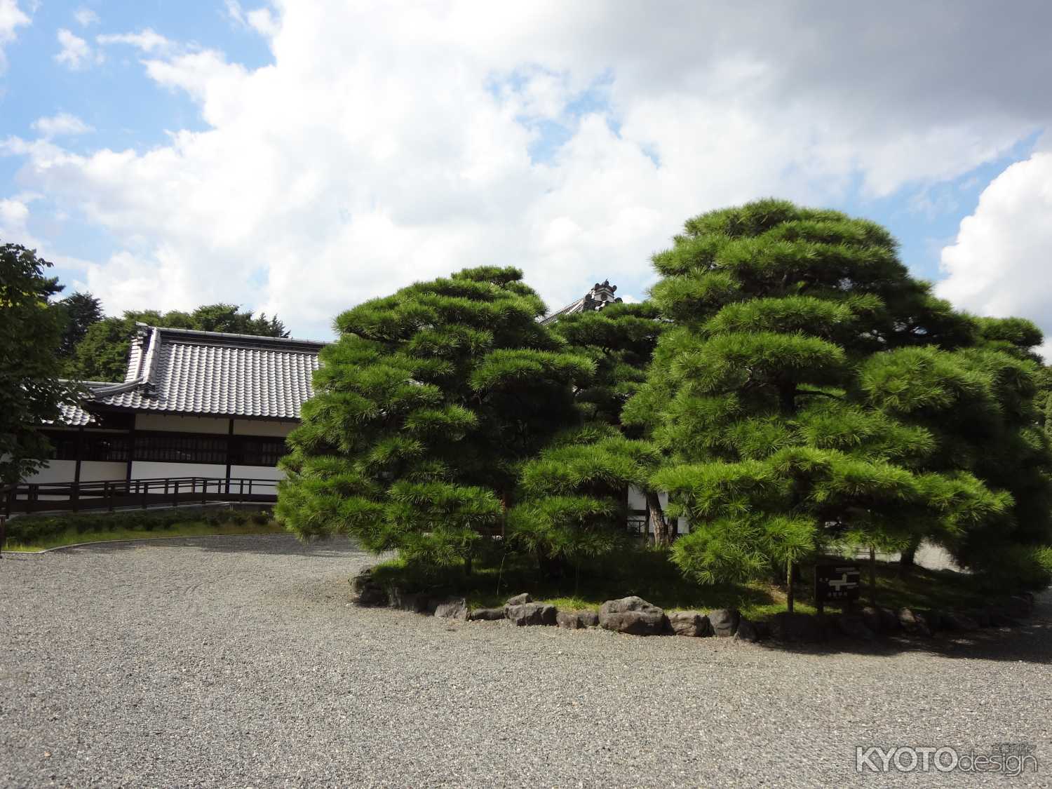 閑院宮邸跡　松と空