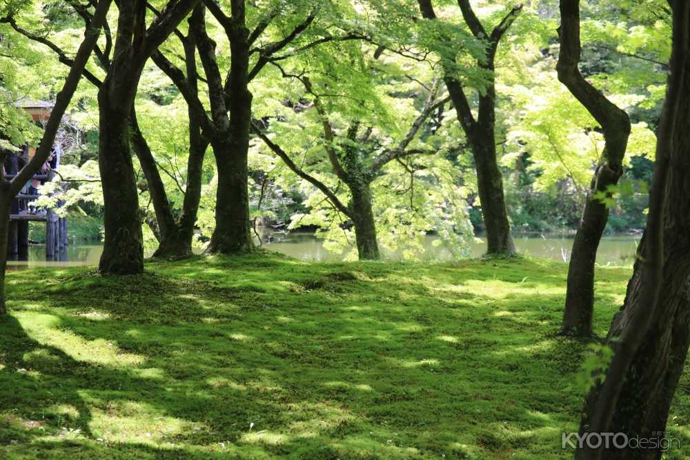 京都府立植物園