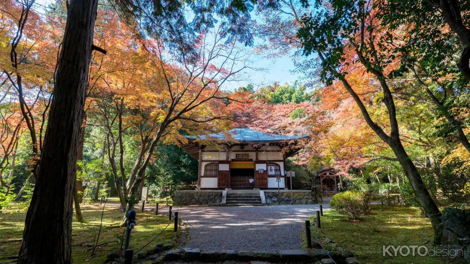 地蔵院（竹の寺）