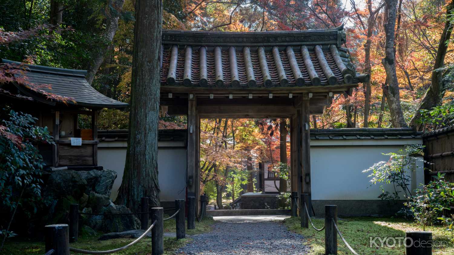 地蔵院（竹の寺）