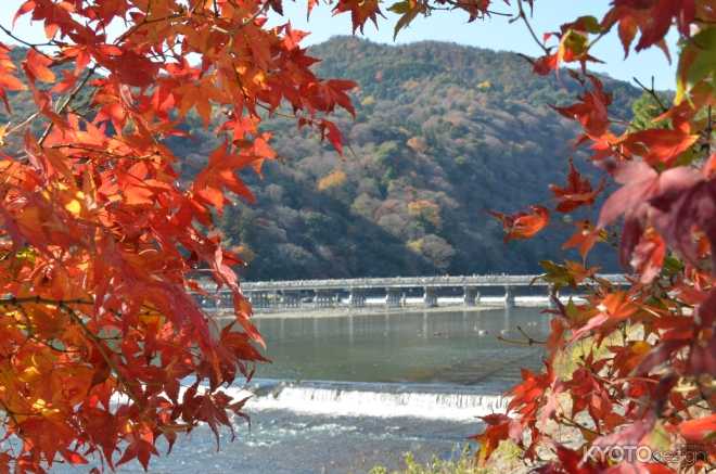 渡月橋