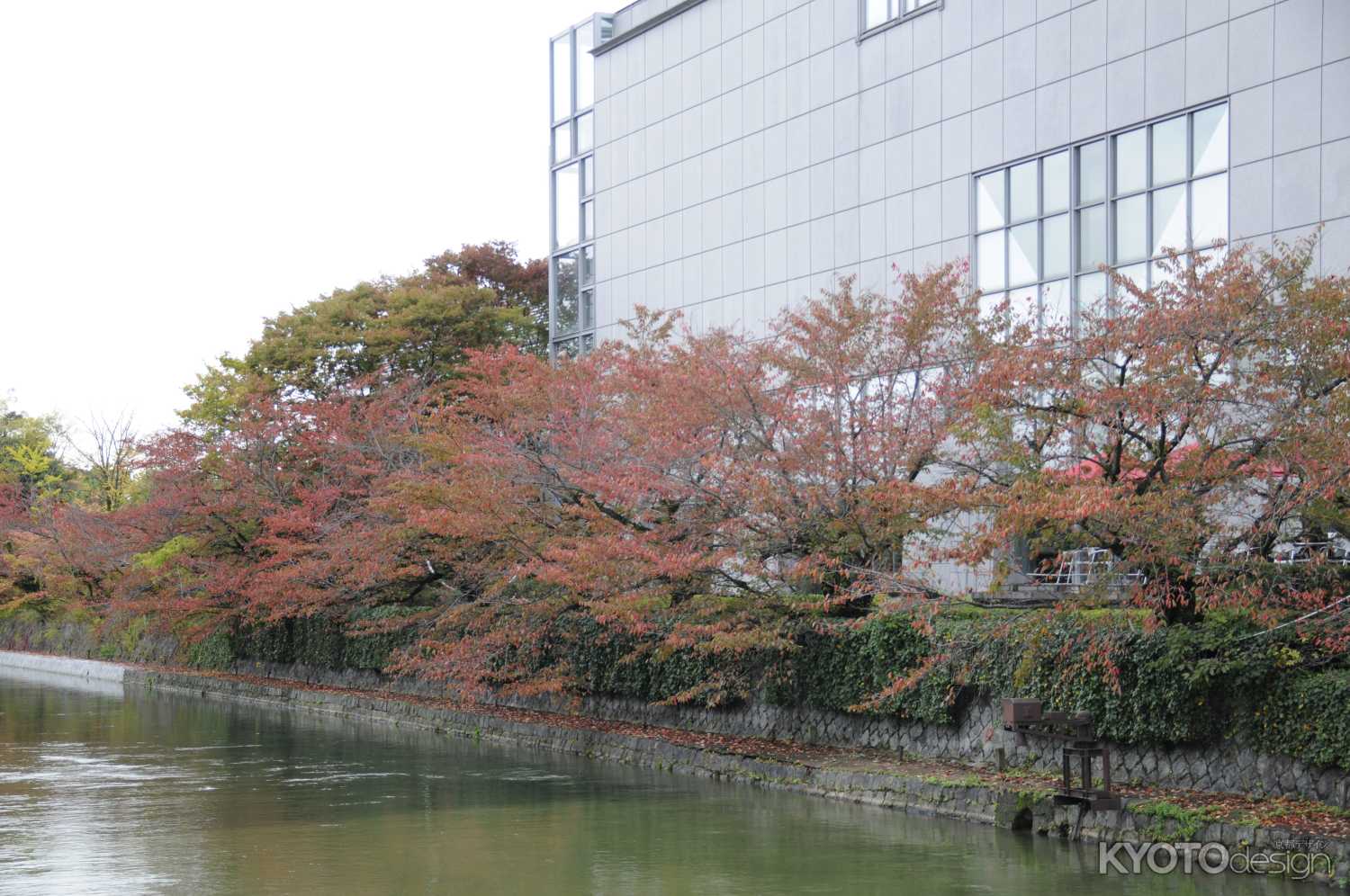 京都国立近代美術館