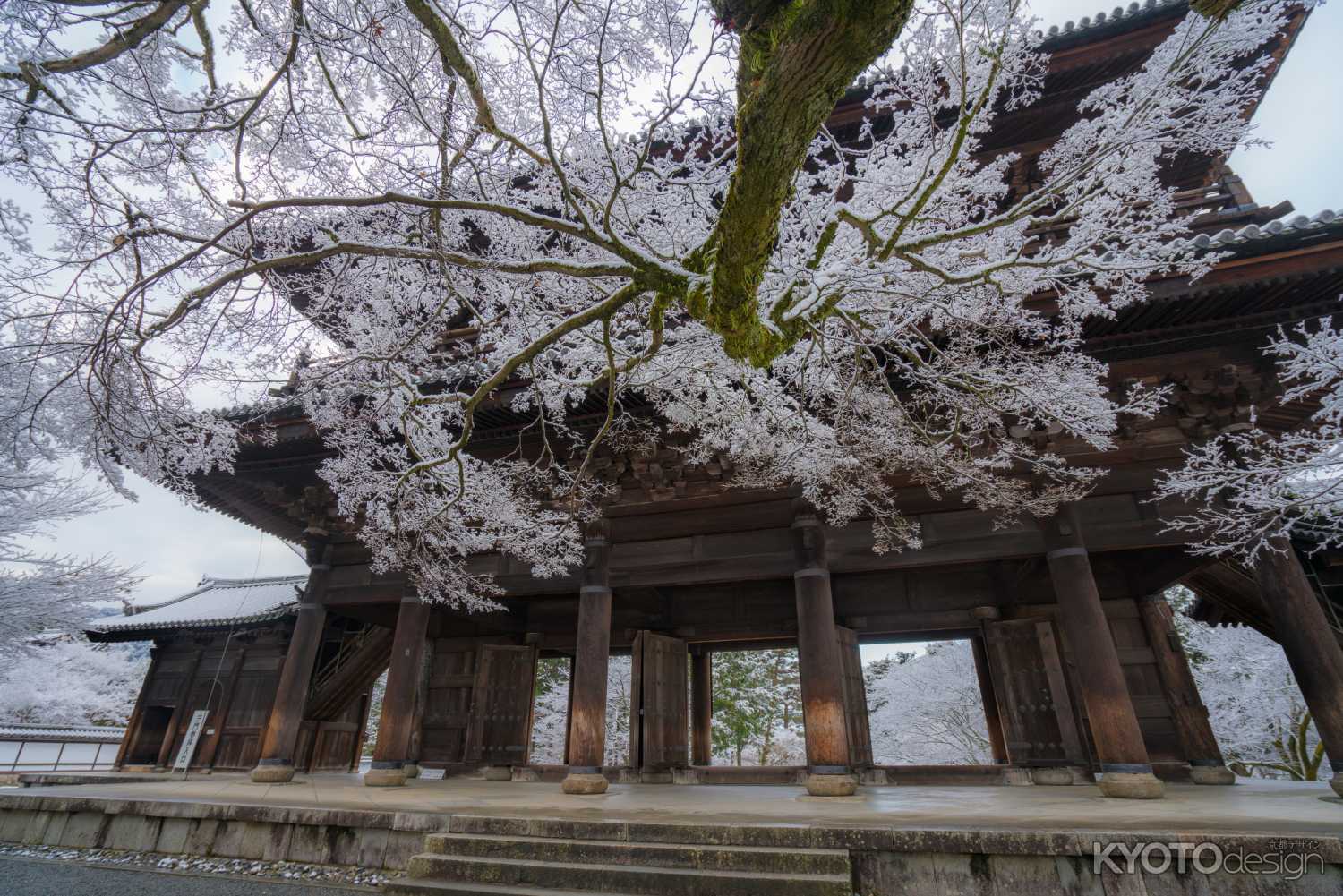 南禅寺三門、雪化粧。