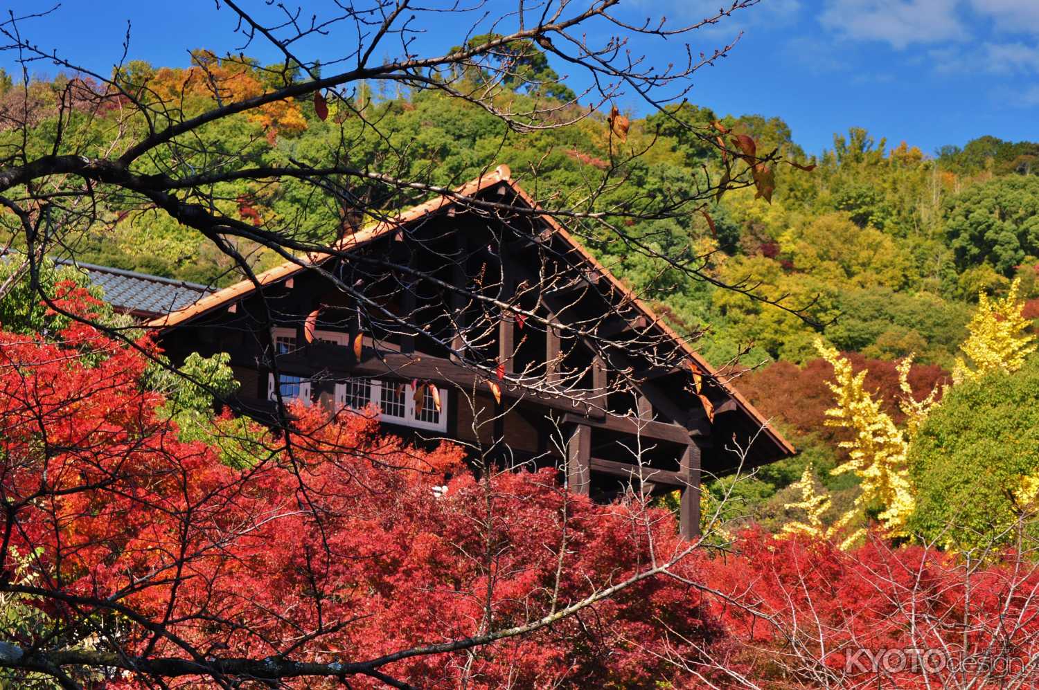 秋の大山崎山荘美術館