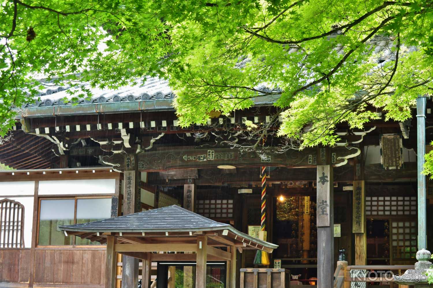 新緑の今熊野観音寺本堂