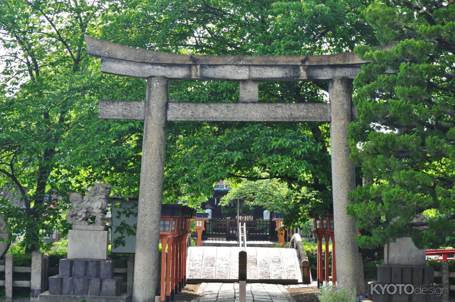 新緑の六孫王神社2