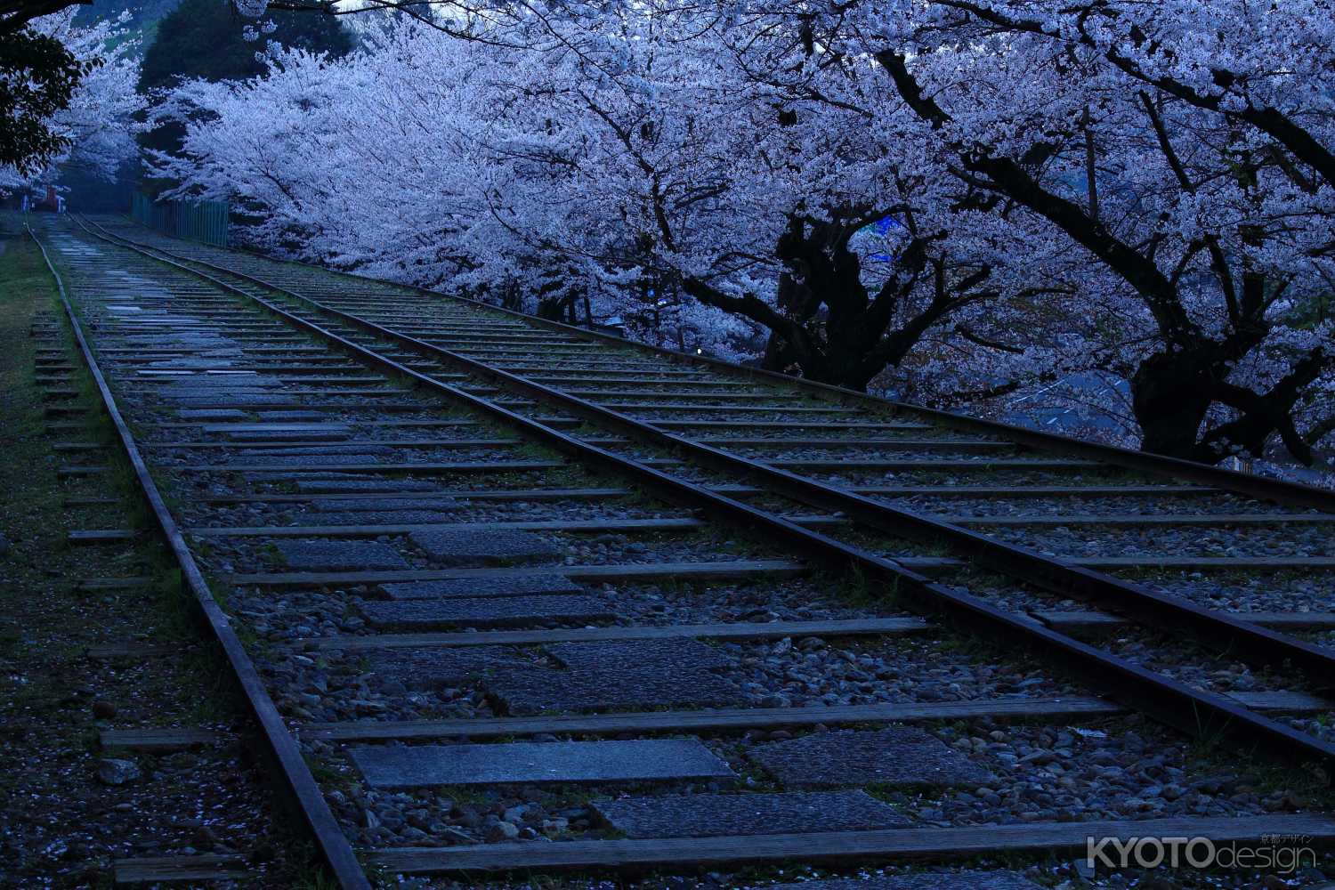 早春の蹴上インクライン３