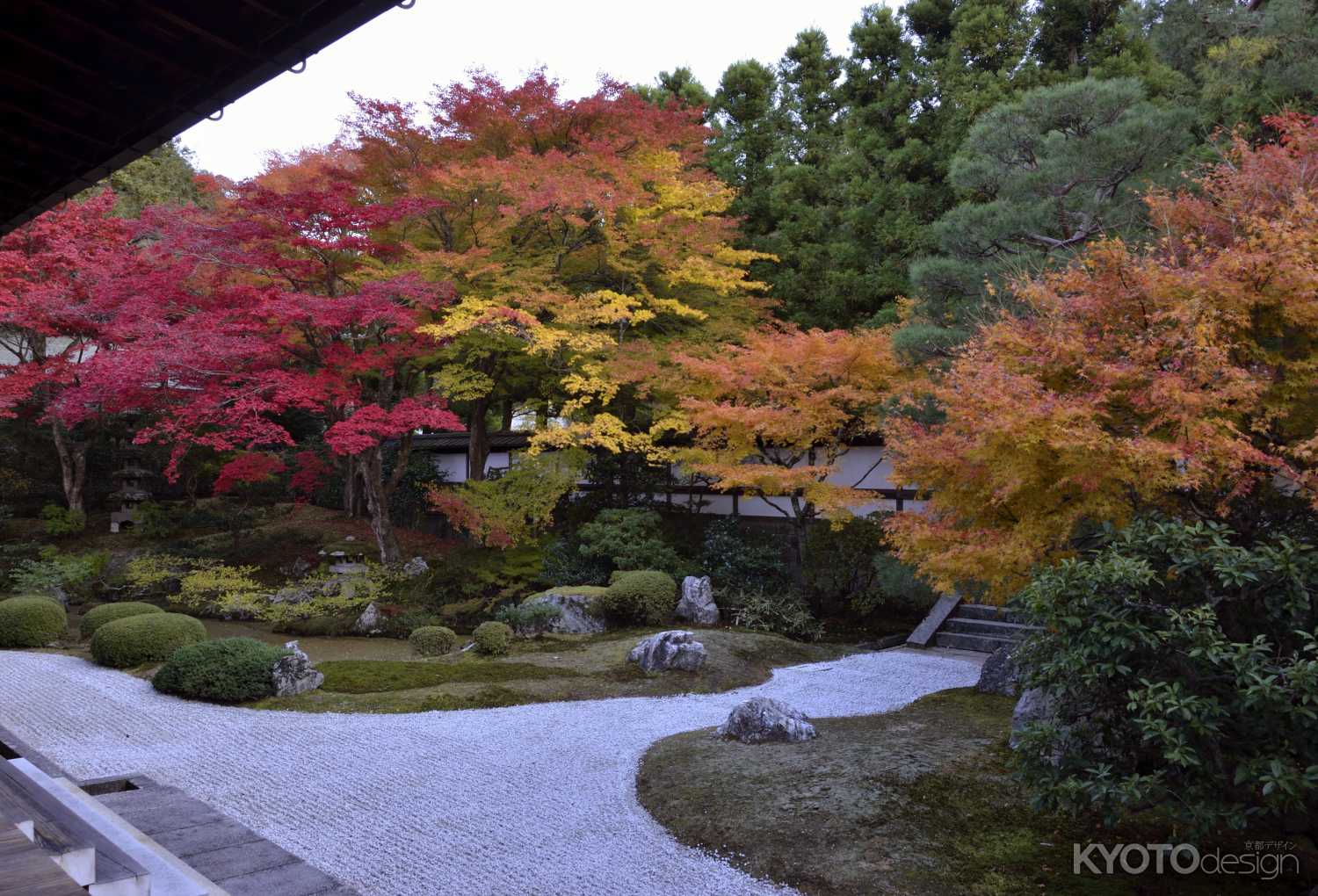 泉涌寺・紅葉２０１３（２）