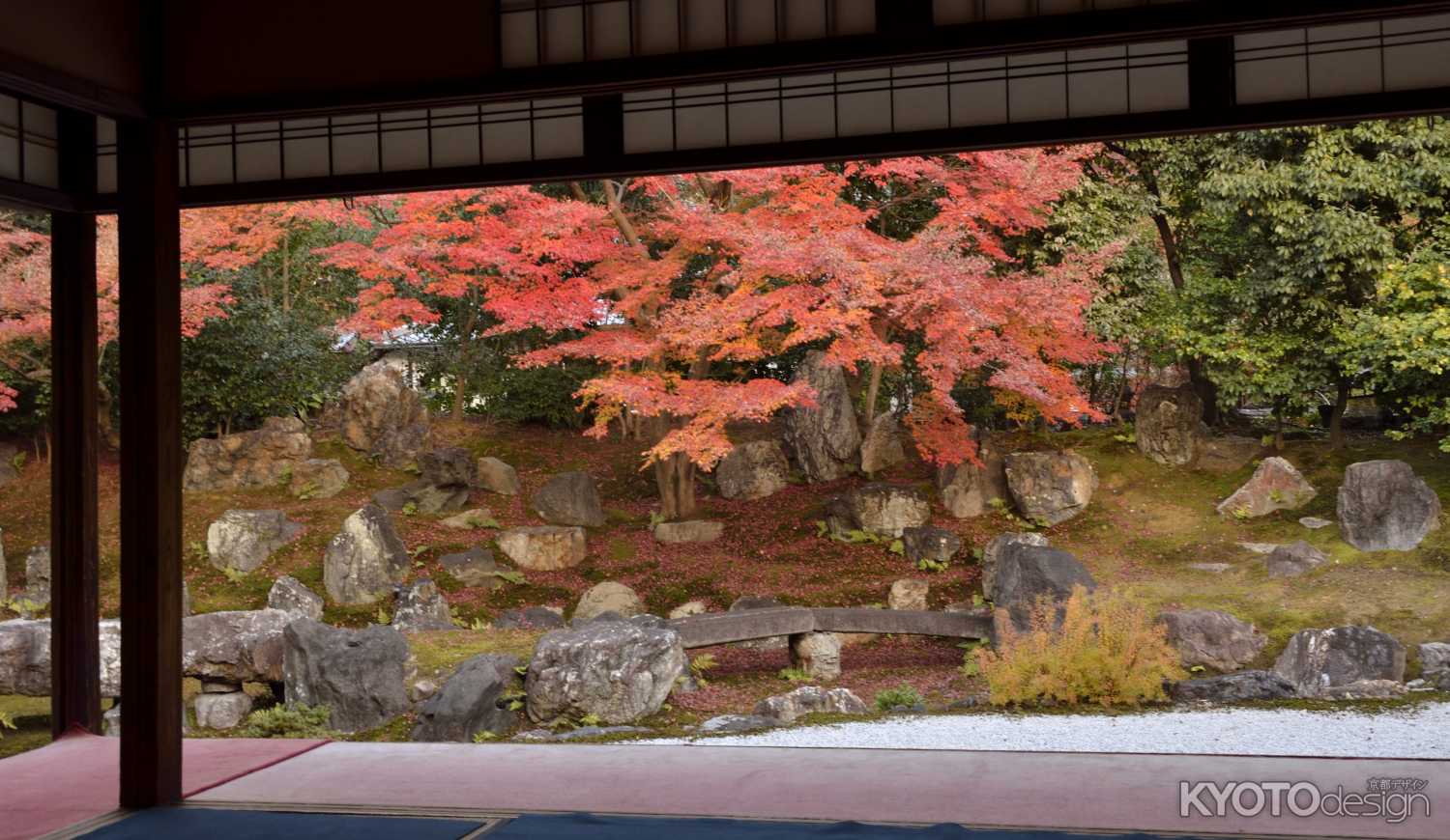 圓徳院・紅葉２０１３