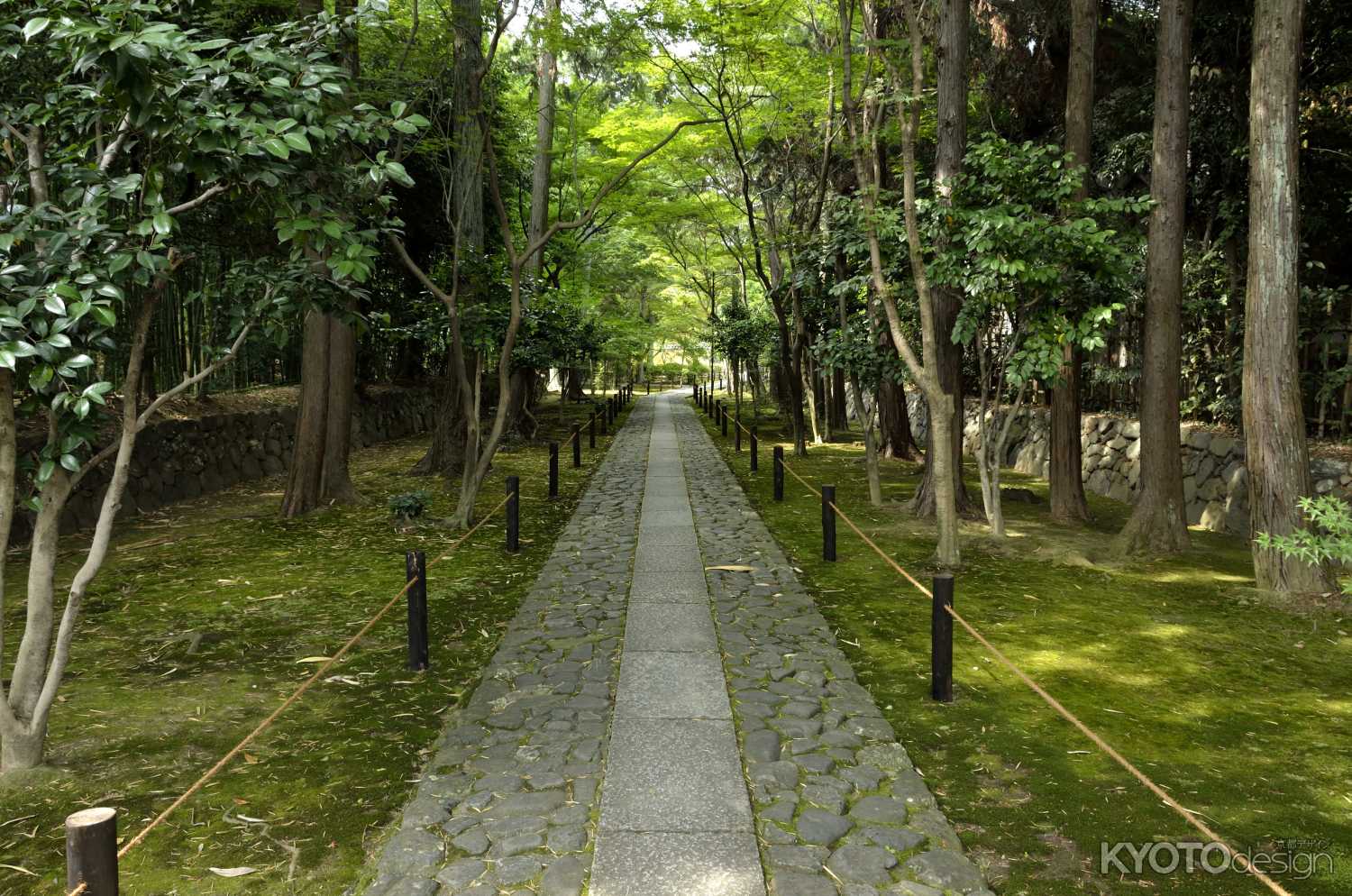 鹿王院・アプローチ