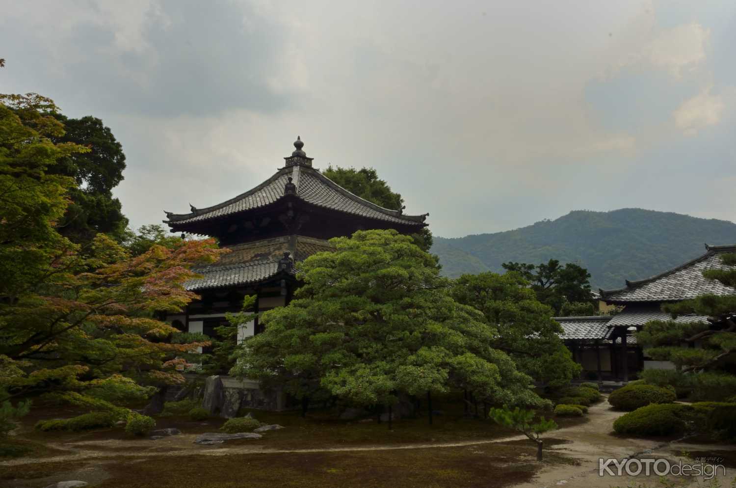 鹿王院・法堂を望む
