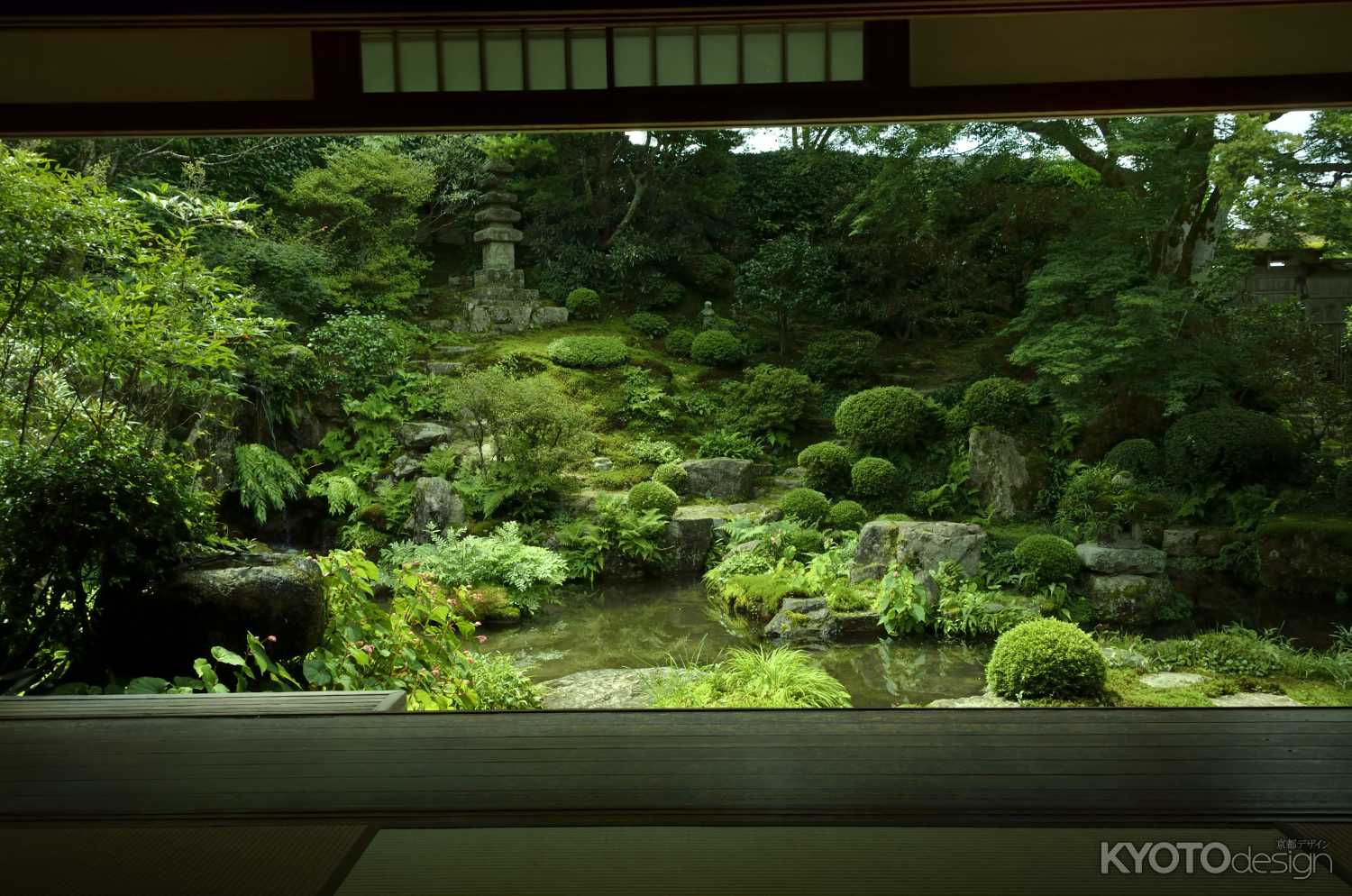 暑さ忘れます・・・