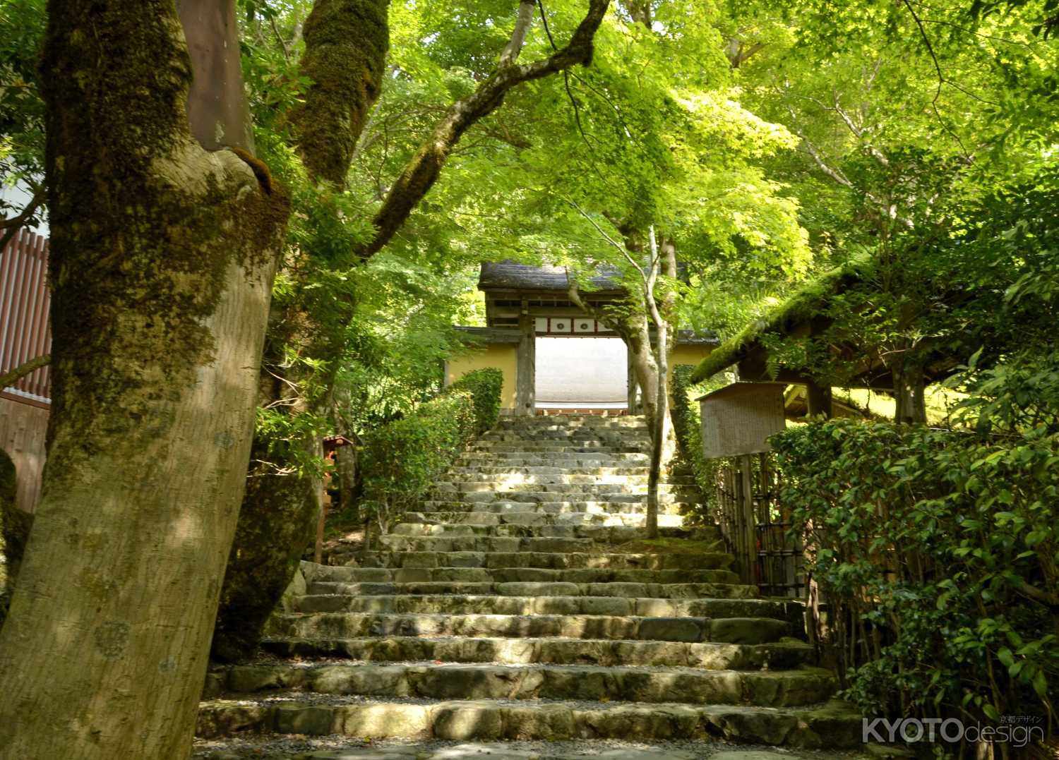 寂光院へのアプローチ