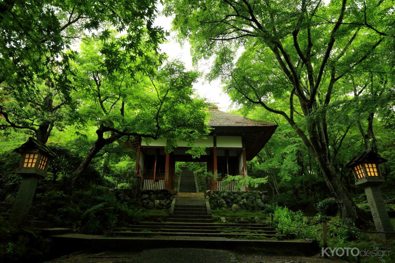常寂光寺　仁王門