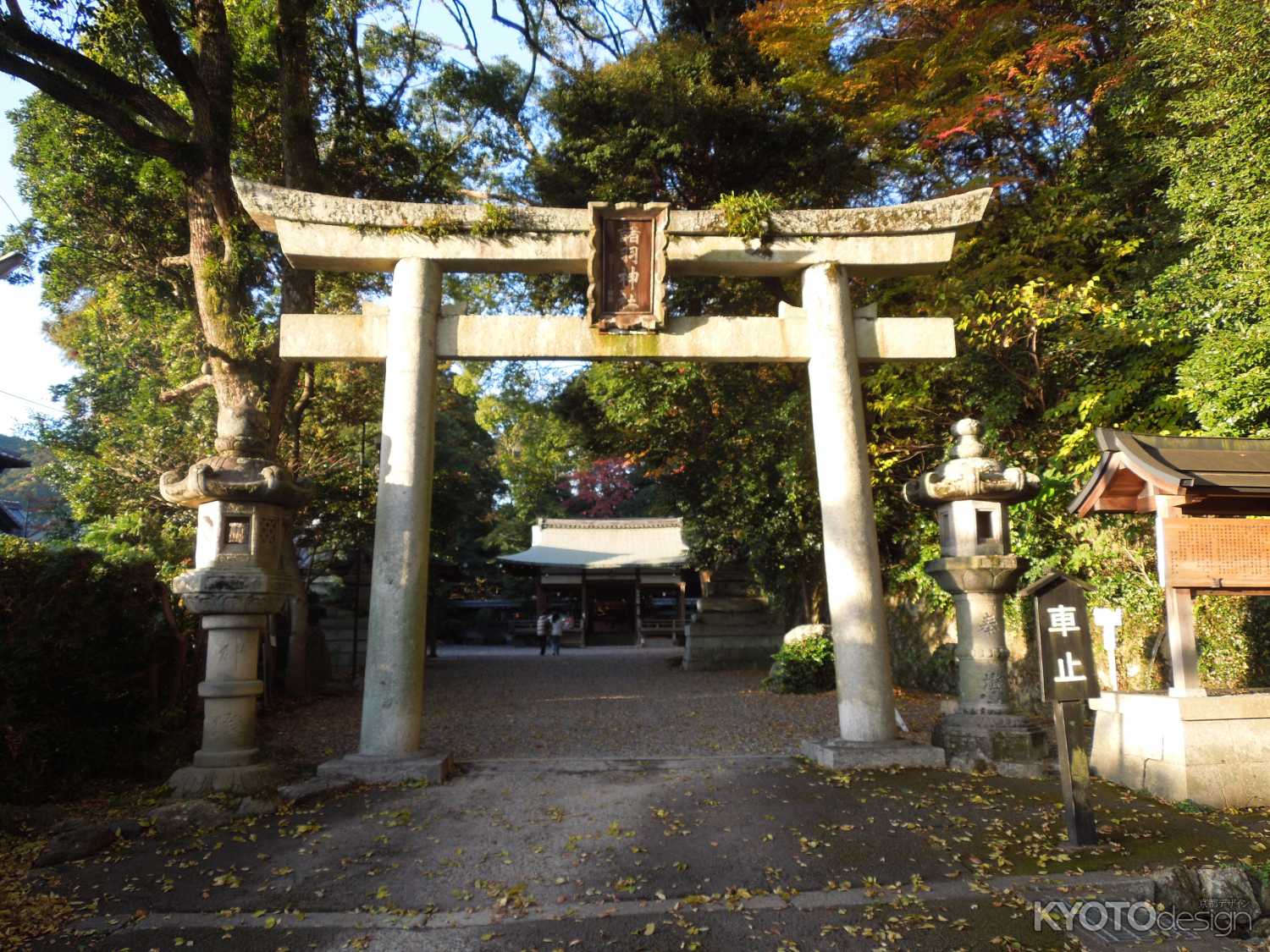 諸羽神社　鳥居