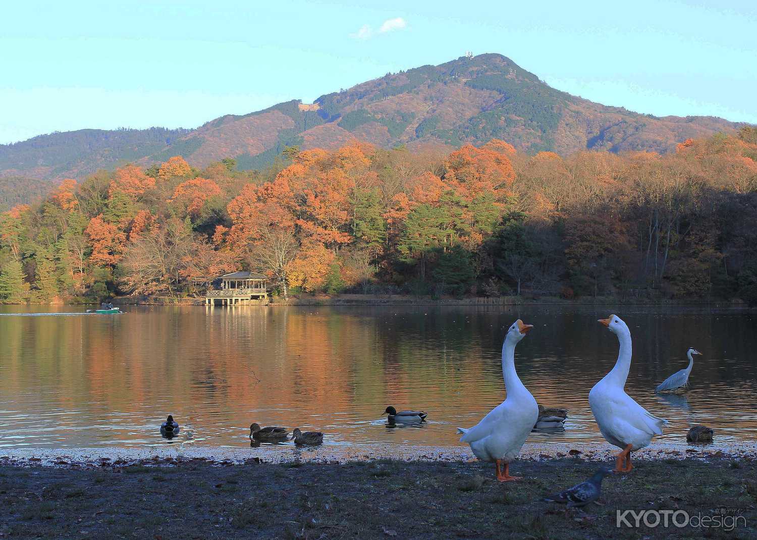 晩秋の落日に憩う