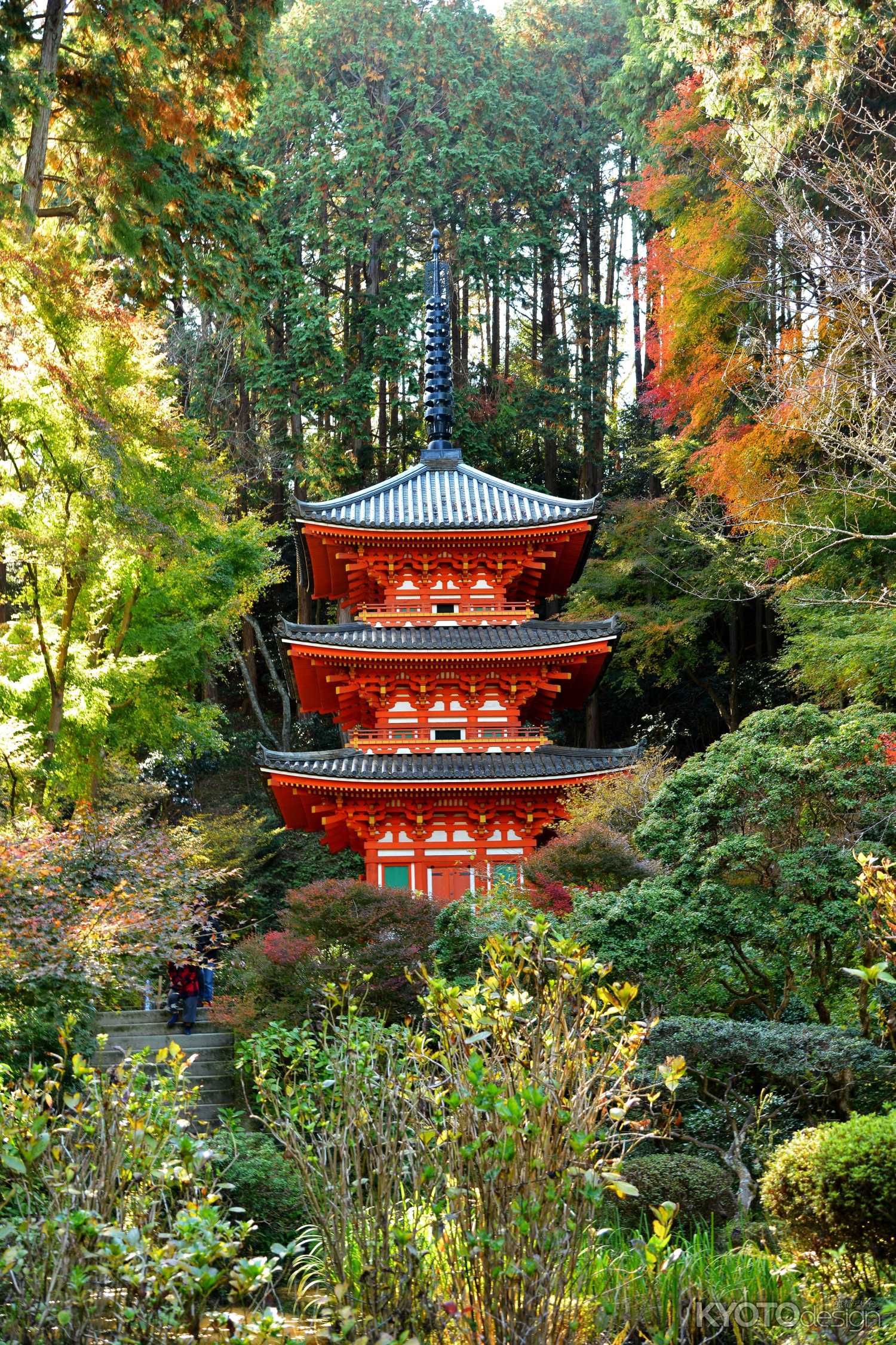 木洩れ日の三重塔