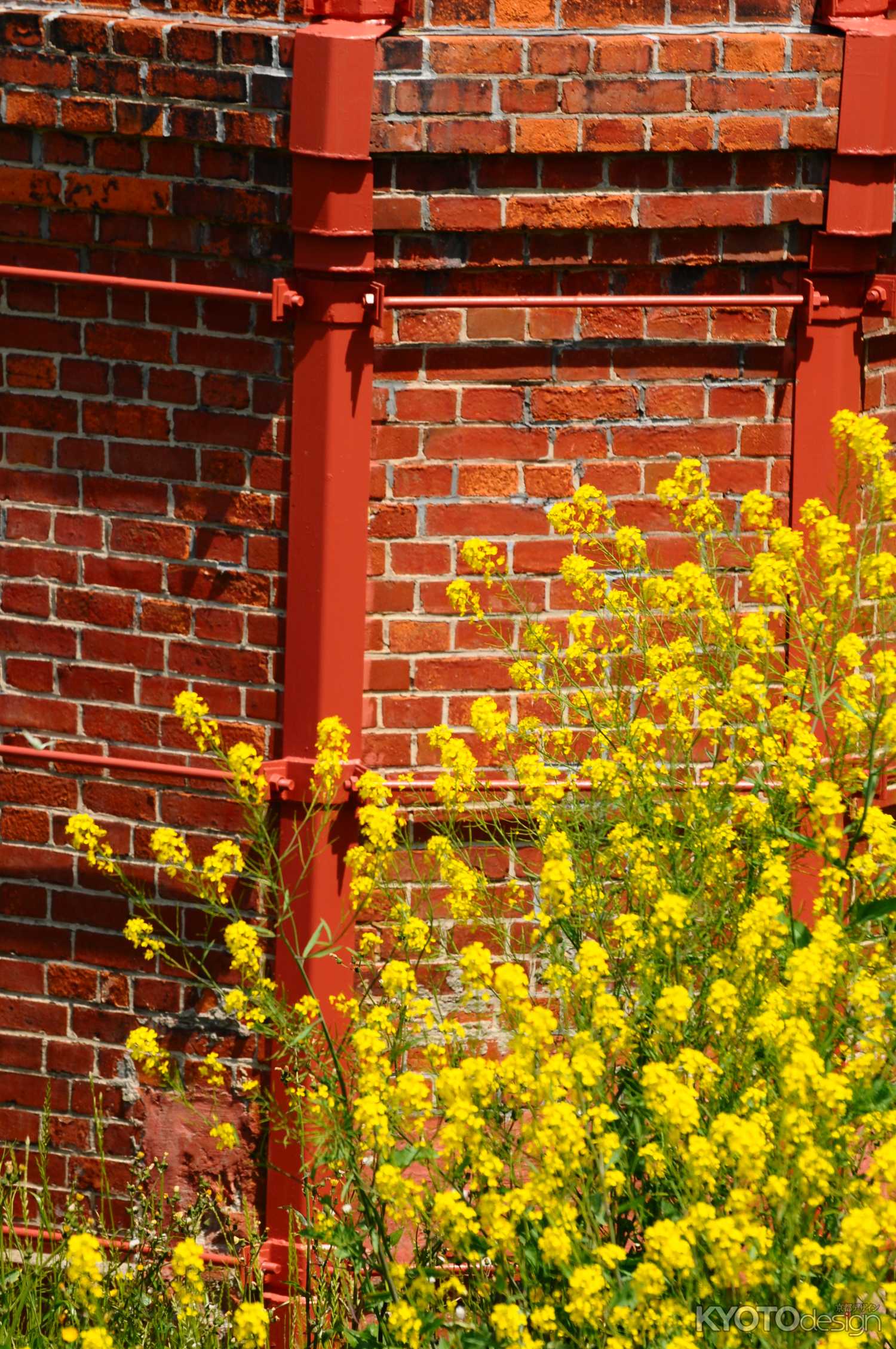 レンガ色と菜の花色