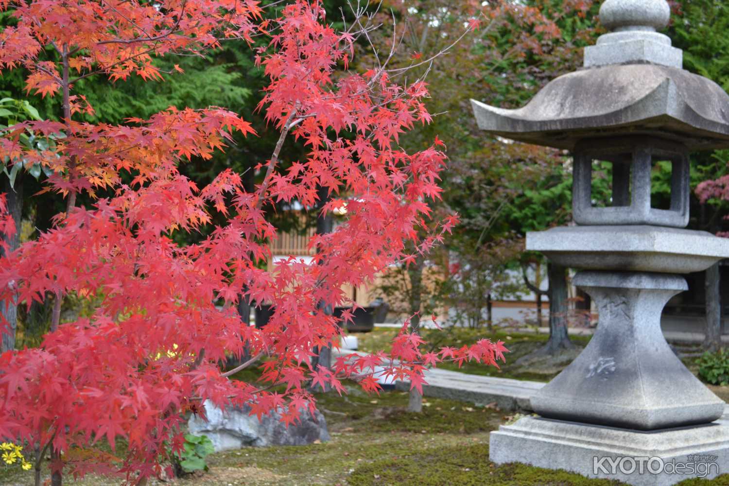 勝林寺　紅葉と灯篭
