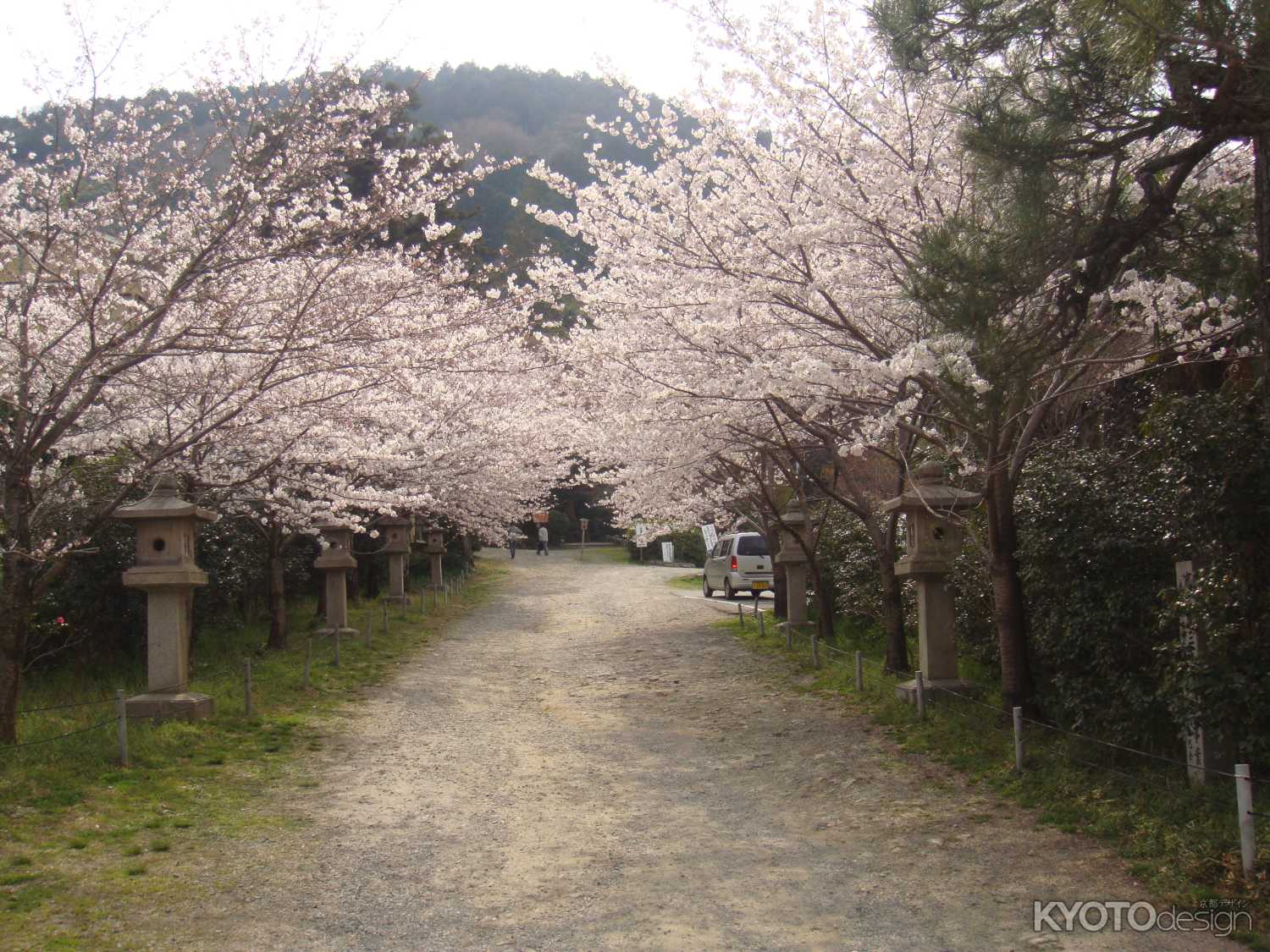 大石神社　参道
