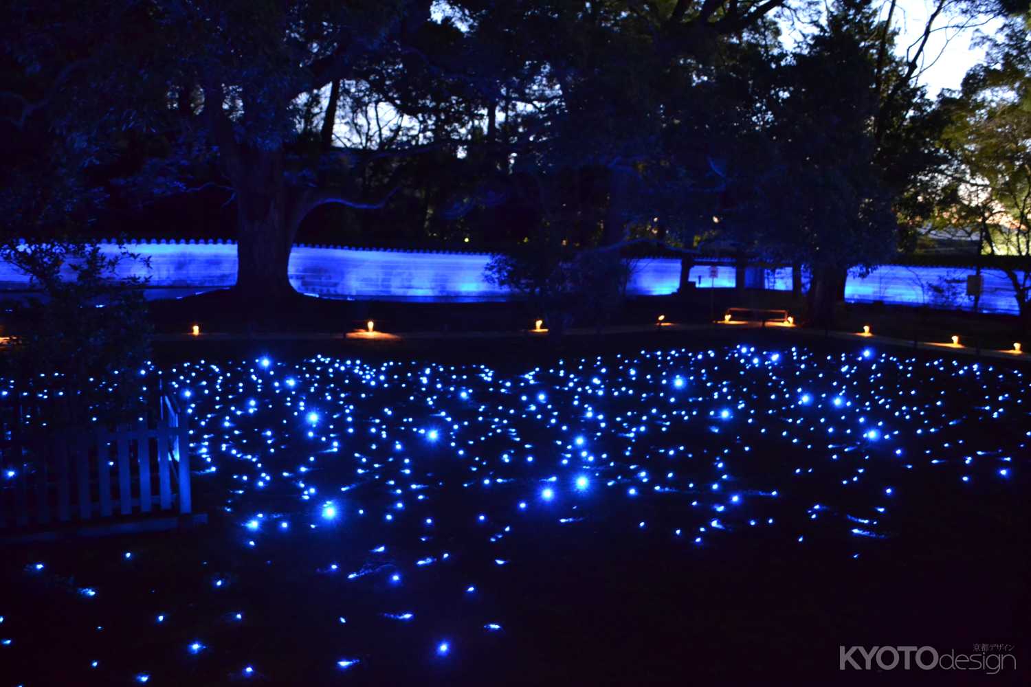 青蓮院　ライトアップ