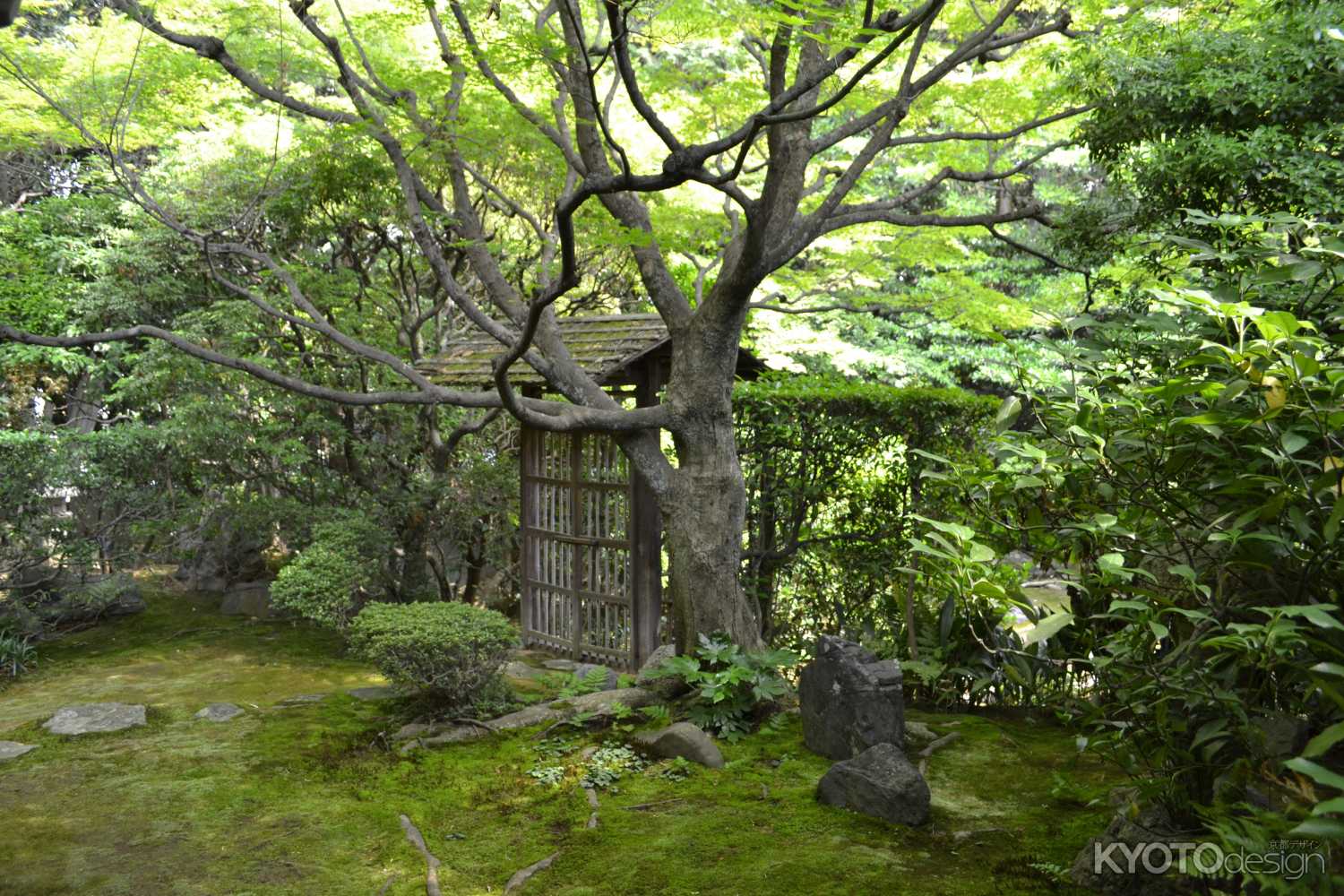 桂春院　侘の庭