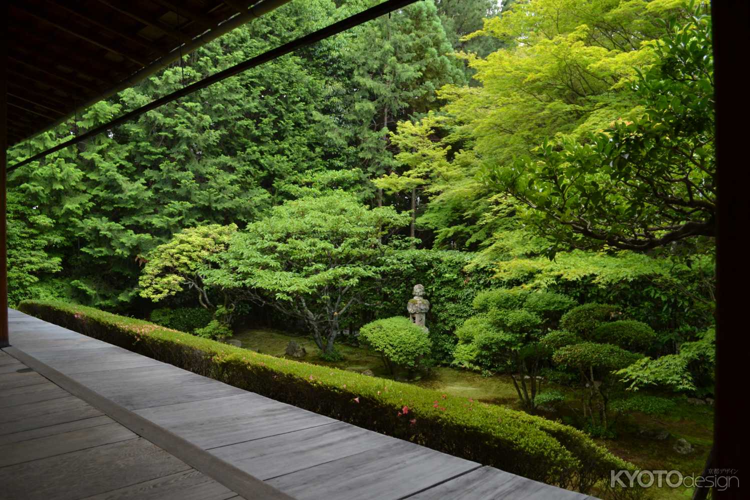 桂春院　真如の庭