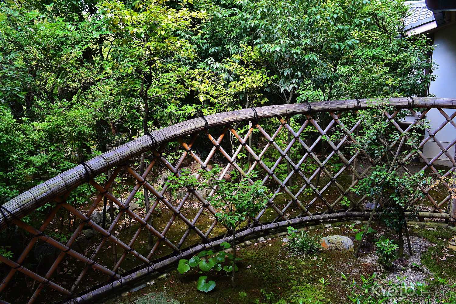 三つ巴の庭　光悦垣