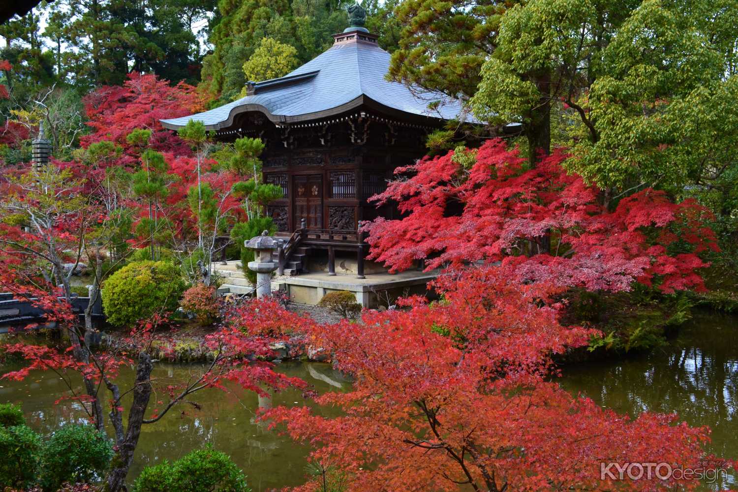 紅葉につつまれた弁天堂　清凉寺