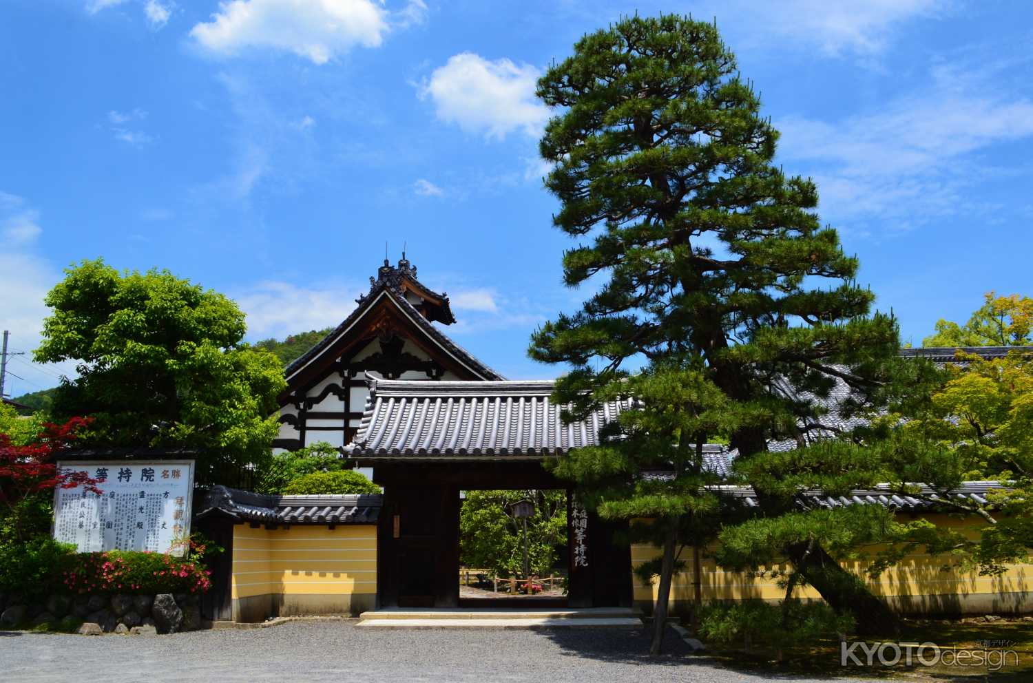 山門と松　等持院