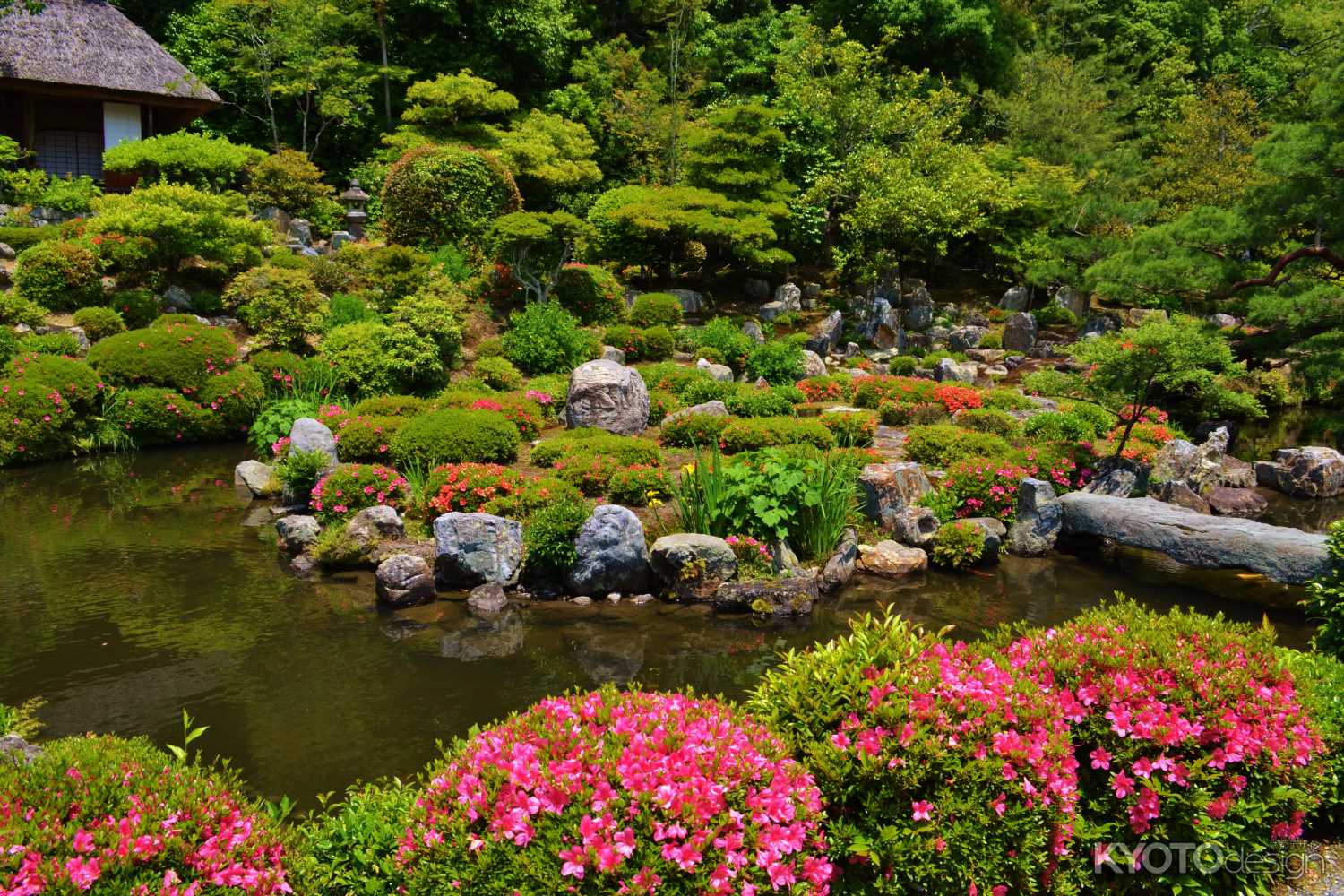 芙蓉池とさつき