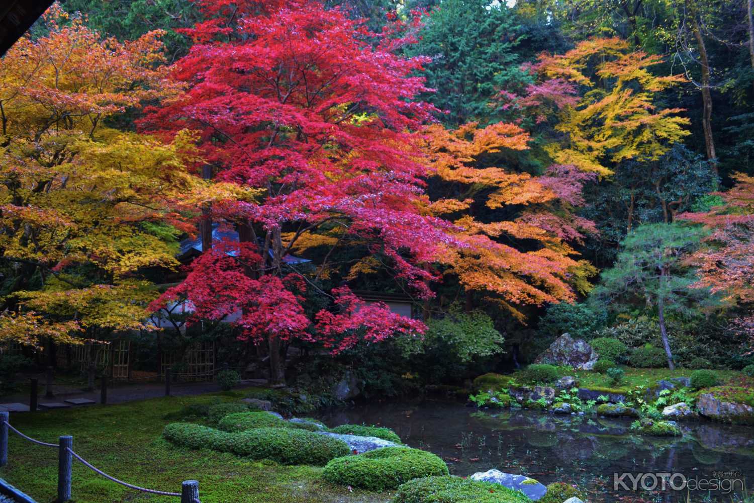 紅のグラデーション