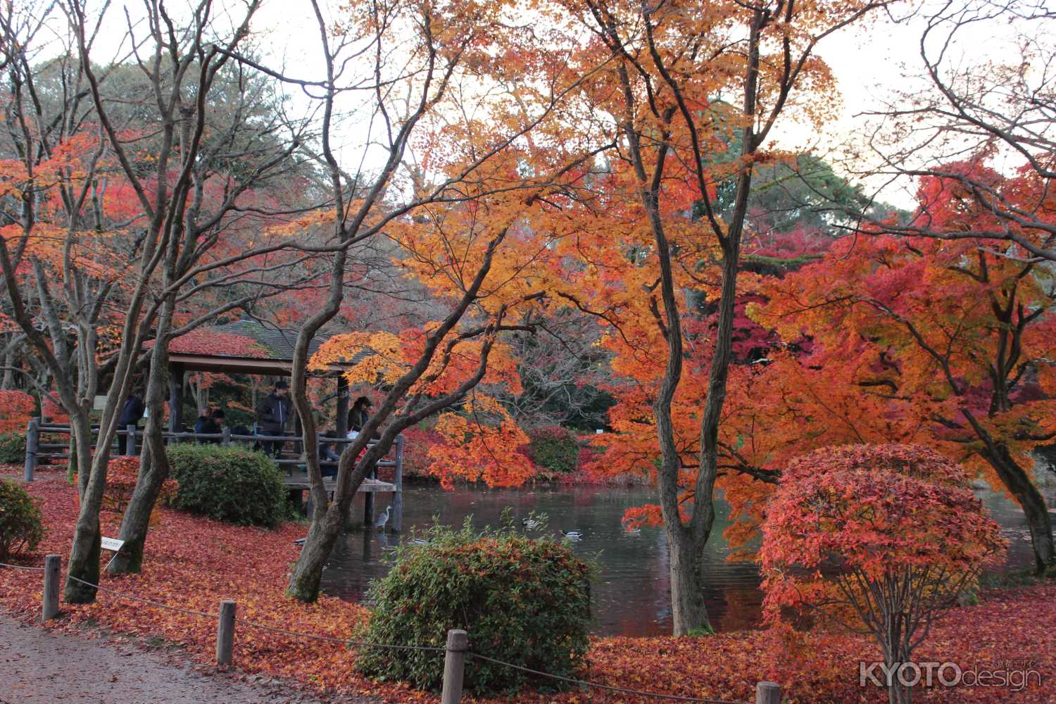 京都府立植物園-10