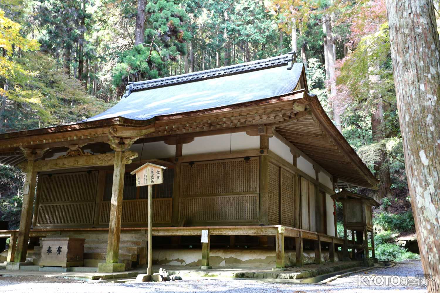 高山寺 金堂
