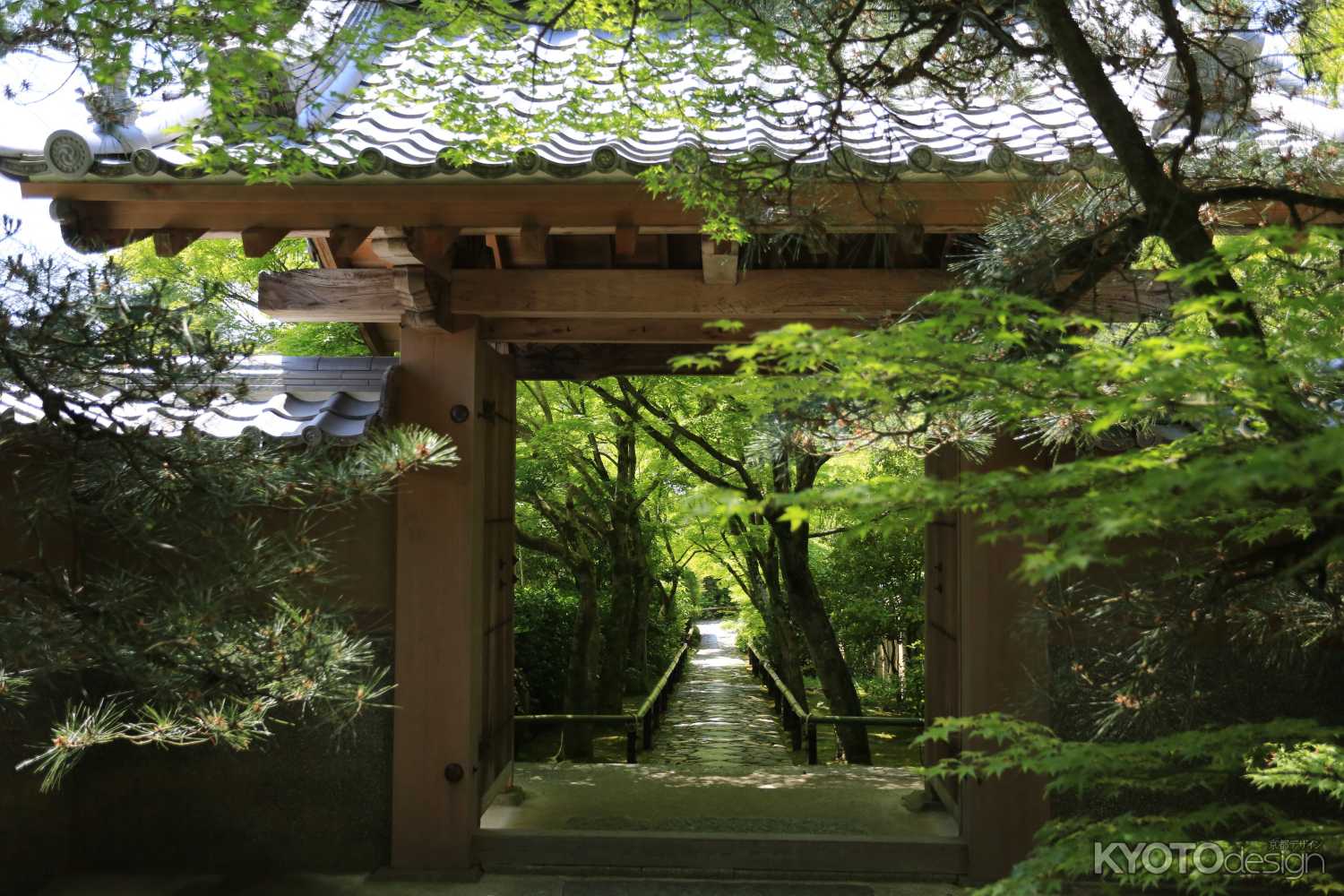 琳派400年鷹ヶ峰散策 光悦寺12