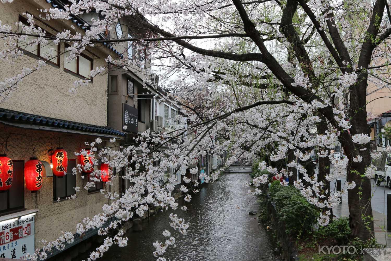 木屋町通り高瀬川と桜　④
